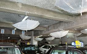 Umbrellas hang from taxi company garage for swallows