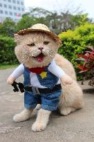 Vietnam's cosplay cat