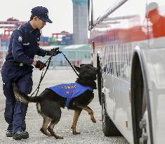 Demonstration of sniffer dog
