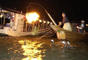 Cormorant fishing begins on Gifu's Nagara River