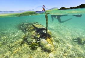 Japan's WWII Zero fighter lies on seabed off Palau island