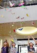 Paper cranes on display in Nagasaki
