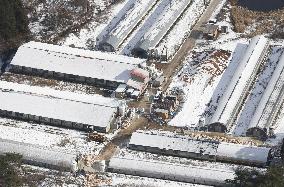 Bird flu strain detected in ducks in northeastern Japan city