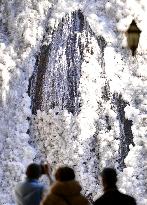 Famed waterfall in Ibaraki almost completely frozen