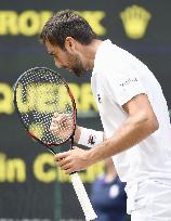 Cilic vs. Querrey in Wimbledon semi