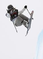 Freestyle skiing World Cup