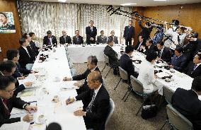 LDP presents options for revision of pacifist clause of Constitution