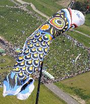 Jumbo carp streamer hoisted in Kazo, Saitama Prefecture