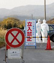 Bird flu hits Japan farm