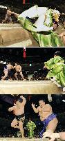 Sumo referee falls off ring during match in rare accident