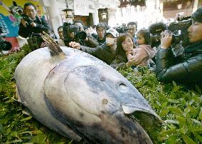 Large tuna offered at shrine