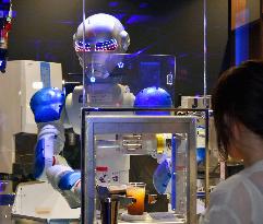 Kingdom of Robots at Huis Ten Bosch