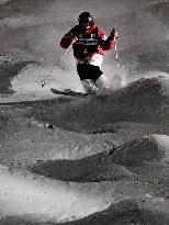 Skiing: Endo wins silver in men's moguls at World Cup event