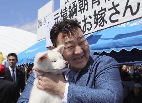 Puppy presented to ex-sumo grand champion Asashoryu
