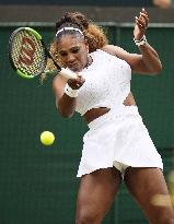 Tennis: Wimbledon championships