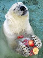 Polar bear takes an ice break at sizzling Osaka zoo