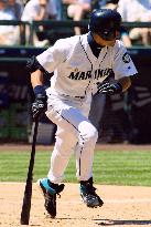 Mariners' Ichiro goes 1-for-3 with 1 RBI against Rangers