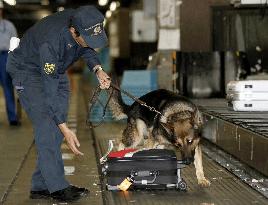 Pre-APEC antiterror drill at Narita airport