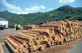 Lumber plant in Morotsuka
