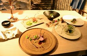 Course meal featuring food from mountains in Toyama Pref.