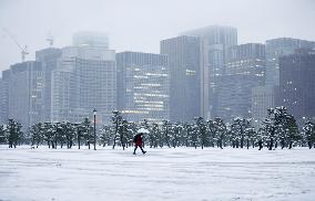Heavy snow blankets eastern Japan