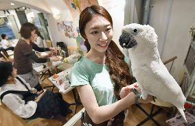 Bird cafe in Tokyo