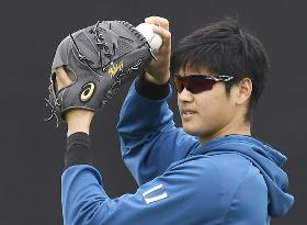 Baseball: Injury-hit star Otani in Arizona