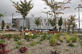 Families of quake victims open memorial garden in NZ's Christchurch