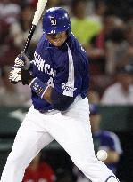 Chunichi's Blanco hit by pitch