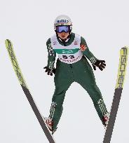 Ski jumping: Norway's Lundby wins World Cup meet in Sapporo