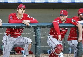 Baseball: Ohtani at Angels spring training