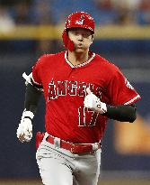 Baseball: Angels v Rays