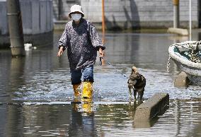 Flooded street in Ishinomaki