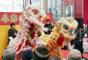 Dragon dance in Niigata, northeastern Japan, for Chinese New Year
