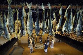 Ainu people in northern Japan making smoked salmon