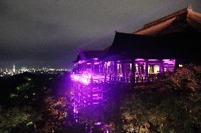 Kyoto temple lit up for campaign against breast cancer