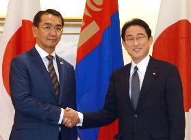 Japan, Mongolia agree to cooperate on N. Korean nuke issue