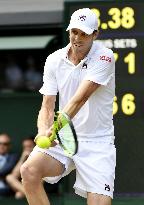 Tennis: Querrey upsets Murray to reach Wimbledon semis