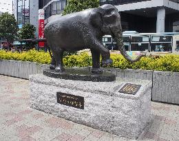 Statue of Japan's best-loved elephant Hanako