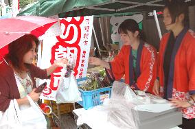 Morning market begins in Dogo hot spring resort