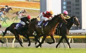 Alkaased wins Japan Cup