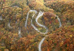 Tourists head to Nikko to see autumn leaves on Iroha-zaka