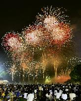 Fireworks light up sky in western Japan's Tondabayashi
