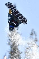 Snowboarding: Japan's Hirano wins halfpipe at World Cup
