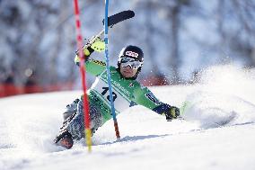 Paralympics: Japanese para alpine skier Takeshi Suzuki