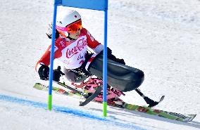 Pyeongchang Paralympics