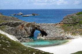 Ogasawara Islands named as World Heritage site