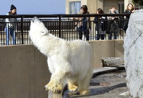 Season for arctic animals arrives