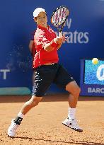 Japan's Nishikori cruises into Barcelona quarterfinals