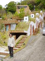 Houses built on mountainside in Takamatsu, western Japan